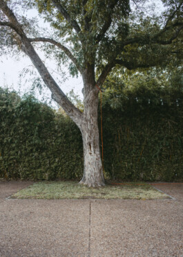 Schramm und Graf Fotografie