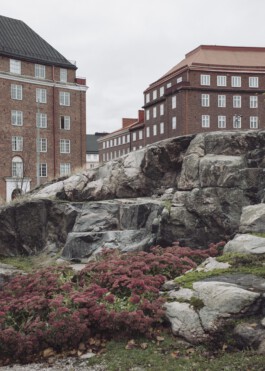 Schramm und Graf Fotografie